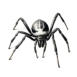 SPIDER CONTROL IN THE GREATER LITTLE ROCK AREA